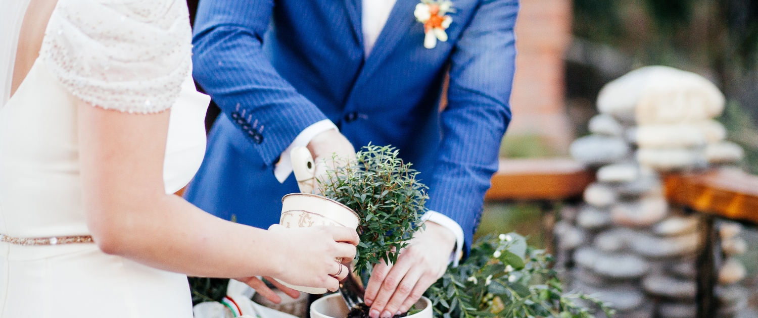 Planting a tree to represent the roots of the family