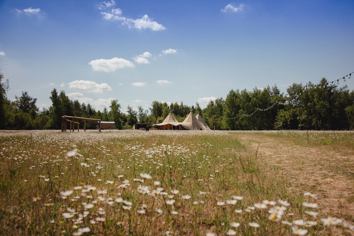 Wellington Wood wedding venue Norfolk